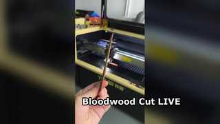 African Bloodwood Cut with Laser Live Demo II Temei 1390 CO2 Radio-Frequency Laser Cutting Machine